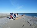 Wales-Nome 177
